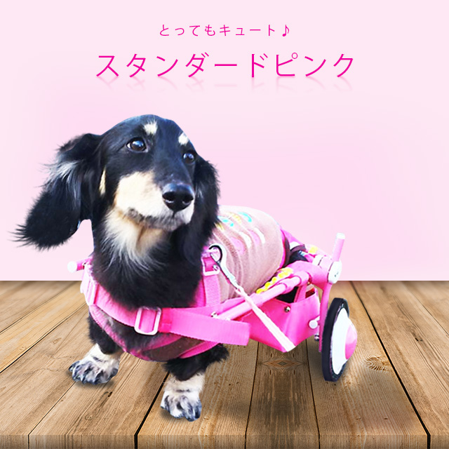 車椅子ピンク